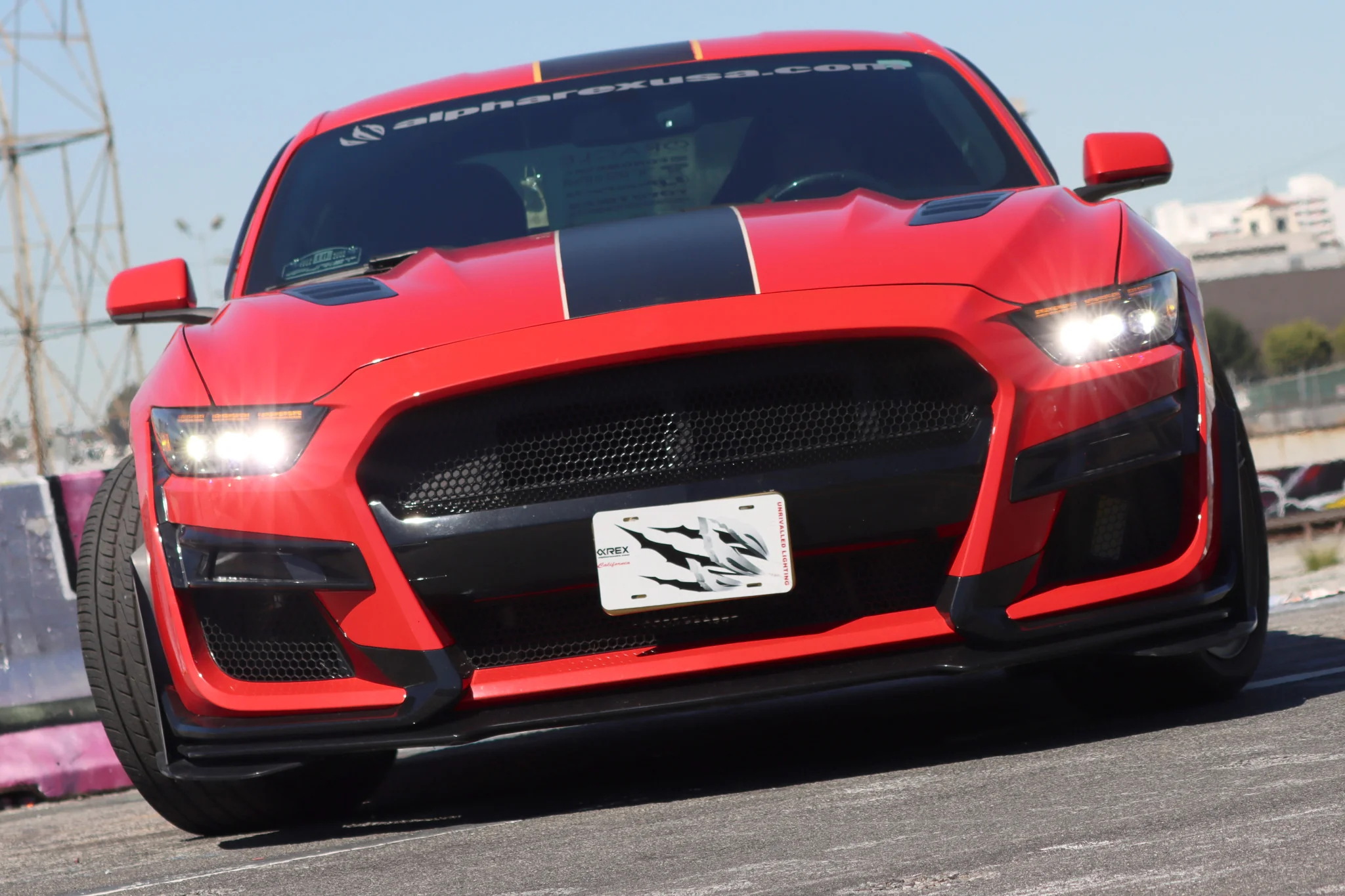 Thumbnail 37